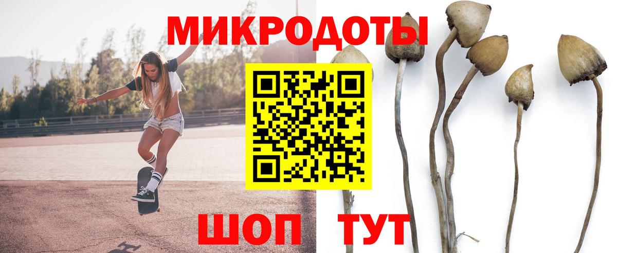 Псилоцибиновые грибы Psilocybine cubensis  купить закладку  Псилоцибиновые грибы Magic Shrooms  Сатка  Вход с VPN 